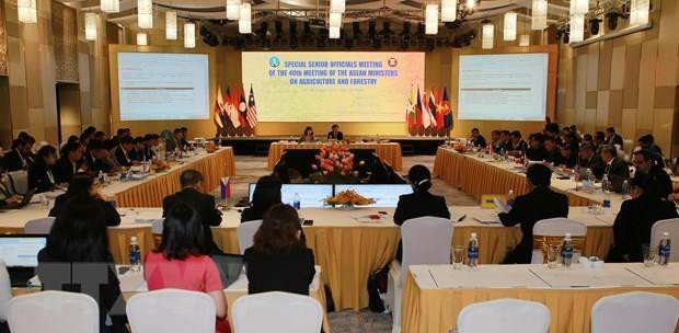 Países de ASEAN intensifican cooperación en sector agroforestal ảnh 1