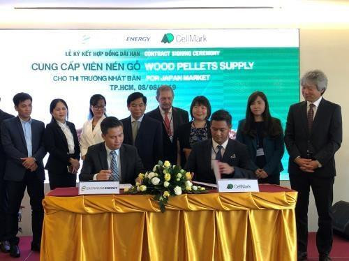 Impulsa empresa vietnamita exportación de pellets de madera al mercado japonés ảnh 1