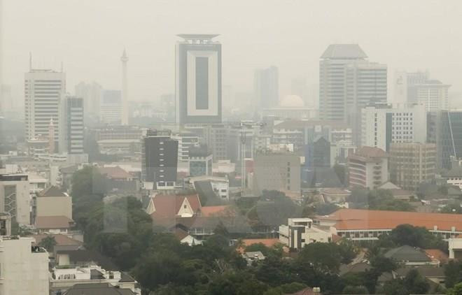 Anuncia Indonesia regulaciones a automóviles privados para reducir contaminación atmosférica ảnh 1 Anuncia Indonesia regulaciones a automóviles privados para reducir contaminación atmosférica ảnh 1