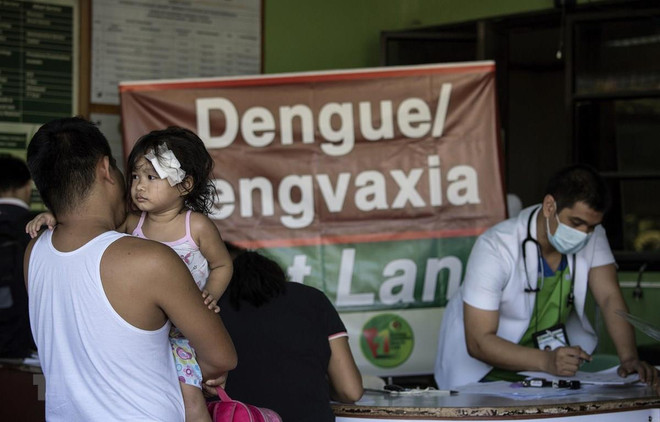Prohíben en Filipinas vacunación pese a brote de dengue ảnh 1 Prohíben en Filipinas vacunación pese a brote de dengue ảnh 1