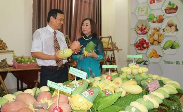 Disminuye Vietnam sus exportaciones de frutas y verduras en primeros siete meses de 2019 ảnh 1 Disminuye Vietnam sus exportaciones de frutas y verduras en primeros siete meses de 2019 ảnh 1