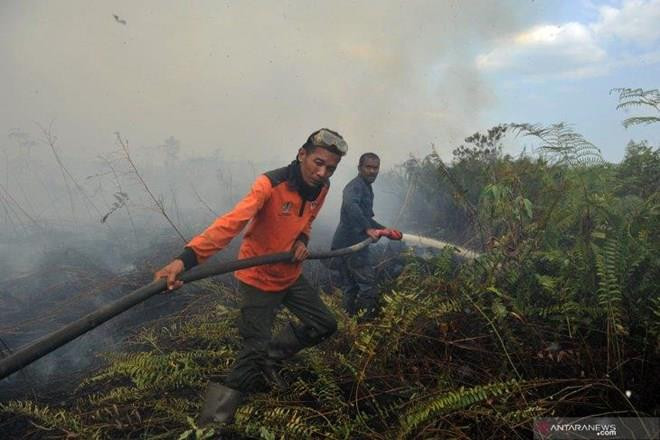 Detectan casi 19 mil focos de incendio en Sudeste Asiático y Papúa Nueva Guinea ảnh 1