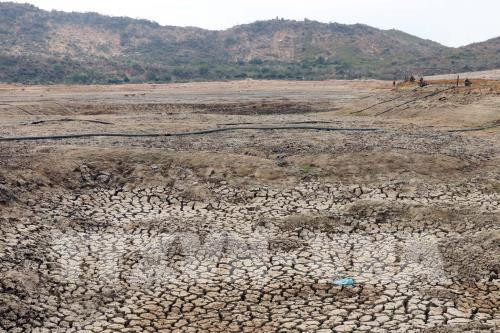 Promueven en Vietnam implementación de tratados internacionales sobre respuesta al cambio climático ảnh 1 Promueven en Vietnam implementación de tratados internacionales sobre respuesta al cambio climático ảnh 1