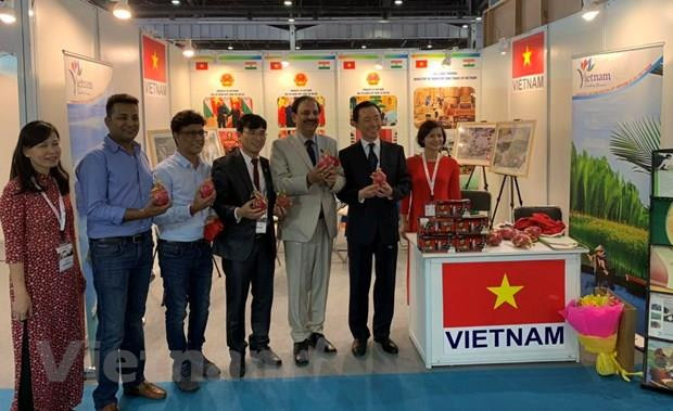 Asisten empresas vietnamitas a Exposición Internacional de Hotelería en la India ảnh 1 Asisten empresas vietnamitas a Exposición Internacional de Hotelería en la India ảnh 1