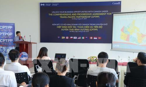 Aprovecha ciudad vietnamita oportunidad de cooperación con Canadá ảnh 1 Aprovecha ciudad vietnamita oportunidad de cooperación con Canadá ảnh 1