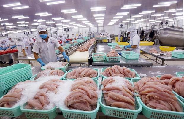 Desciende ligeramente valor de las exportaciones de productos acuícolas de Vietnam durante 2019 ảnh 1 Desciende ligeramente valor de las exportaciones de productos acuícolas de Vietnam durante 2019 ảnh 1