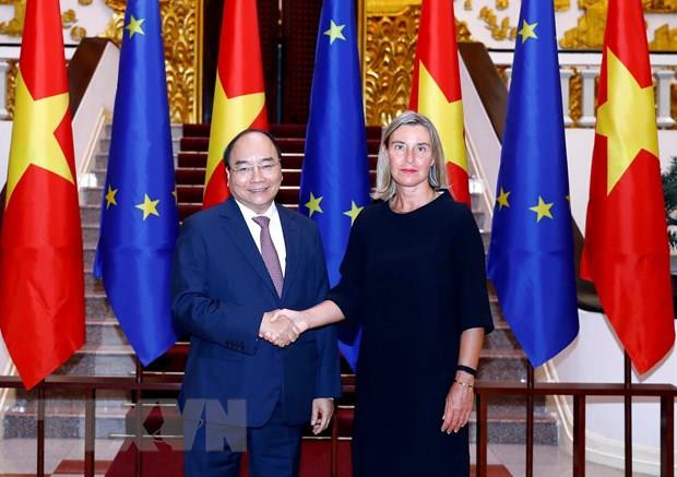 Exhorta premier de Vietnam ratificación de TLC con la UE ảnh 1 Exhorta premier de Vietnam ratificación de TLC con la UE ảnh 1
