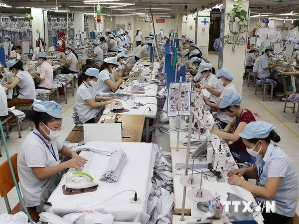 Recomiendan a empresas de confecciones textiles vietnamitas que aprovechen TLC con UE ảnh 1 Recomiendan a empresas de confecciones textiles vietnamitas que aprovechen TLC con UE ảnh 1