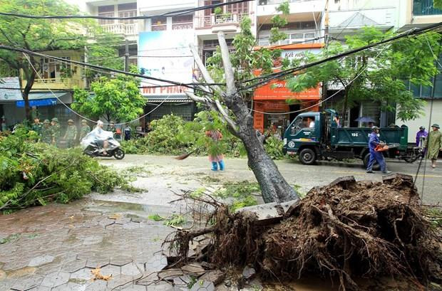 Premier de Vietnam urge a implementar medidas para superar secuelas del tifón Wipha ảnh 1 Premier de Vietnam urge a implementar medidas para superar secuelas del tifón Wipha ảnh 1