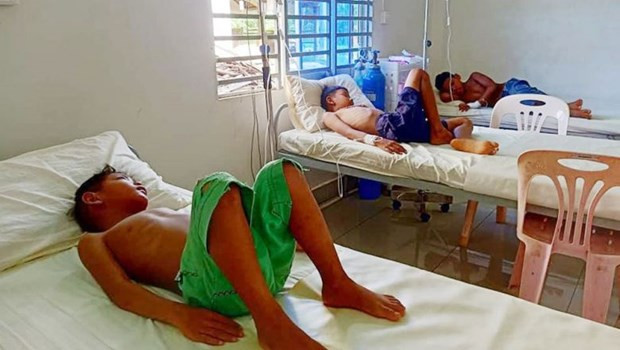 Chikungunya se extiende a 15 provincias en Camboya ảnh 1 Chikungunya se extiende a 15 provincias en Camboya ảnh 1