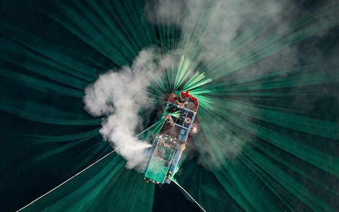 “Momento de pesca” en Vietnam, una de las instantáneas más impresionantes del mundo ảnh 1 “Momento de pesca” en Vietnam, una de las instantáneas más impresionantes del mundo ảnh 1