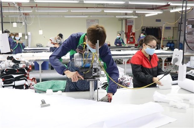 Disminuye intercambio comercial entre Vietnam y Laos por COVID-19 ảnh 1 Disminuye intercambio comercial entre Vietnam y Laos por COVID-19 ảnh 1