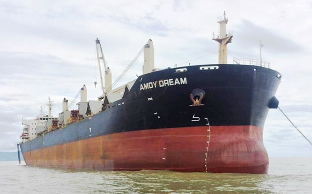 Implementan medidas preventivas del COVID-19 para tripulación del barco Amoy Dream ảnh 1 Implementan medidas preventivas del COVID-19 para tripulación del barco Amoy Dream ảnh 1