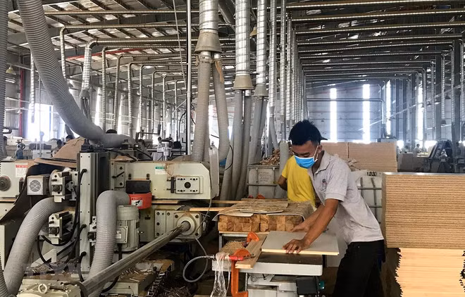 Efectúan en Vietnam reunión en línea sobre plan de acción para implementar el EVFTA ảnh 1