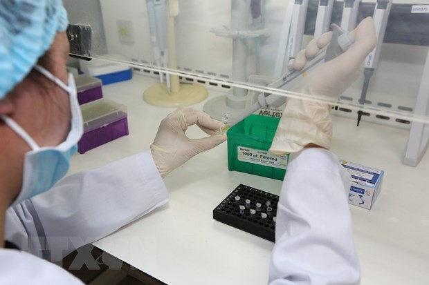 Vietnam registra octava muerte por COVID-19 ảnh 1 Vietnam registra octava muerte por COVID-19 ảnh 1