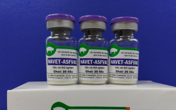 Cooperación en biotecnología agrícola aúna esfuerzos de Vietnam y Estados Unidos ảnh 1 Cooperación en biotecnología agrícola aúna esfuerzos de Vietnam y Estados Unidos ảnh 1