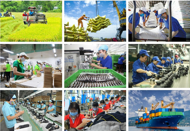 Vietnam y Ho Chi Minh, raíz y estrella ảnh 4 Vietnam y Ho Chi Minh, raíz y estrella ảnh 4