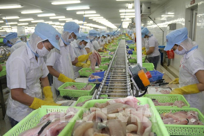 Tien Giang aspira a convertirse en un polo de crecimiento de Vietnam ảnh 2 Tien Giang aspira a convertirse en un polo de crecimiento de Vietnam ảnh 2