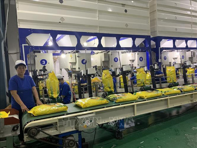Vietnam por garantizar normas sobre la certificación de arroz aromático exportable a la UE ảnh 1 Vietnam por garantizar normas sobre la certificación de arroz aromático exportable a la UE ảnh 1