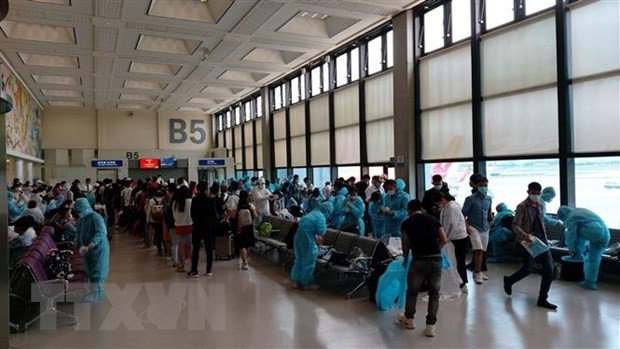 Regresan a casa más de 600 vietnamitas varados en Singapur y Malasia ảnh 1 Regresan a casa más de 600 vietnamitas varados en Singapur y Malasia ảnh 1
