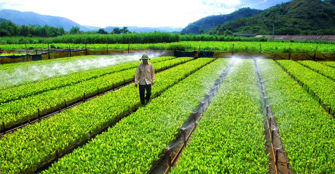 Más de la mitad de empresas vietnamitas se ven afectadas por el cambio climático ảnh 1 Más de la mitad de empresas vietnamitas se ven afectadas por el cambio climático ảnh 1