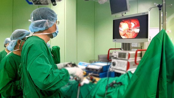 Tres científicos vietnamitas reciben Premio Alexandre Yersin ảnh 1 Tres científicos vietnamitas reciben Premio Alexandre Yersin ảnh 1