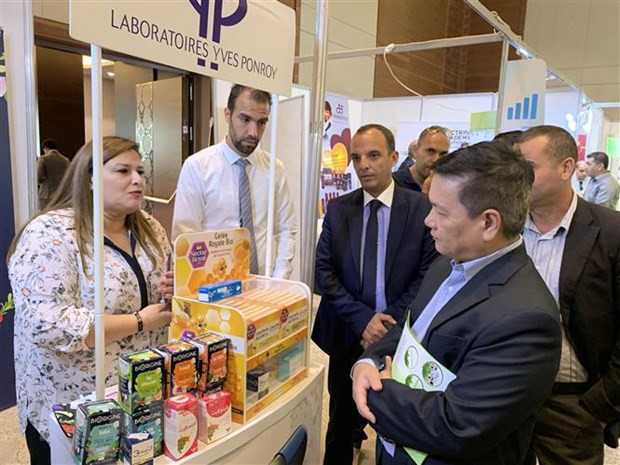 Empresas vietnamitas asisten a feria internacional de comercio en línea en Argelia ảnh 1
