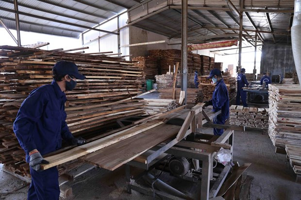 Exportaciones madereras de provincia central de Binh Dinh aumentan a pesar de la pandemia ảnh 1 Exportaciones madereras de provincia central de Binh Dinh aumentan a pesar de la pandemia ảnh 1