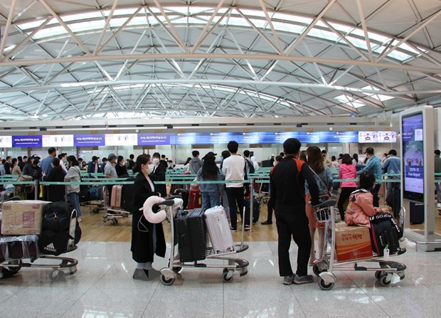 Cientos de vietnamitas regresan al país desde Corea del Sur ảnh 1 Cientos de vietnamitas regresan al país desde Corea del Sur ảnh 1