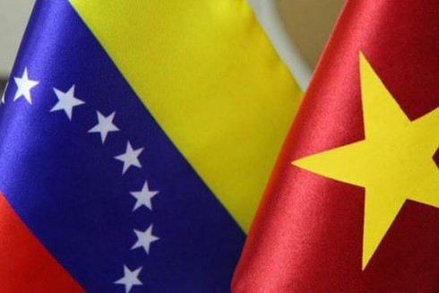 Vietnam y Venezuela realizan octava consulta política ảnh 1 Vietnam y Venezuela realizan octava consulta política ảnh 1