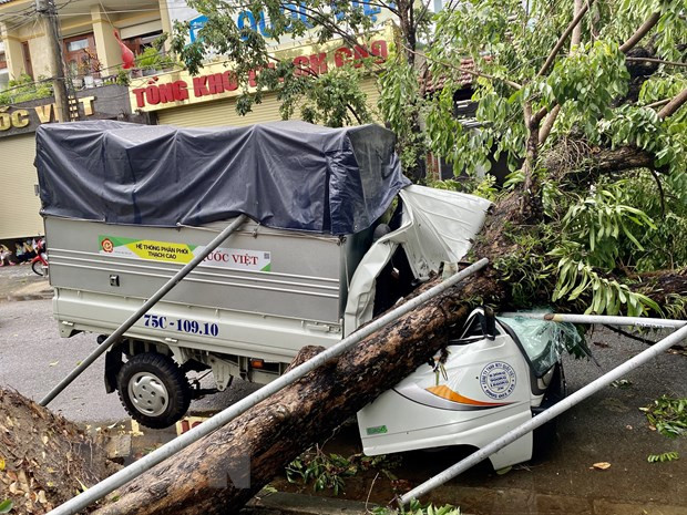 Vietnam reporta al menos cinco muertos por el tifón Noul ảnh 1