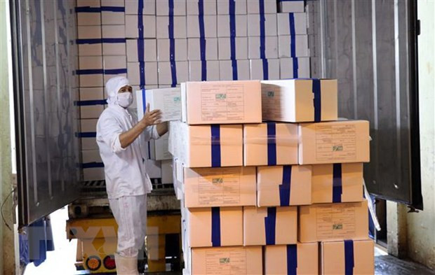 Vietnam exporta primer lote de camarones a la Unión Europea bajo EVFTA ảnh 1 Vietnam exporta primer lote de camarones a la Unión Europea bajo EVFTA ảnh 1