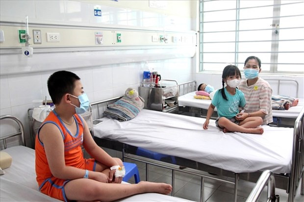 Disminuyen los casos de dengue en Vietnam ảnh 1