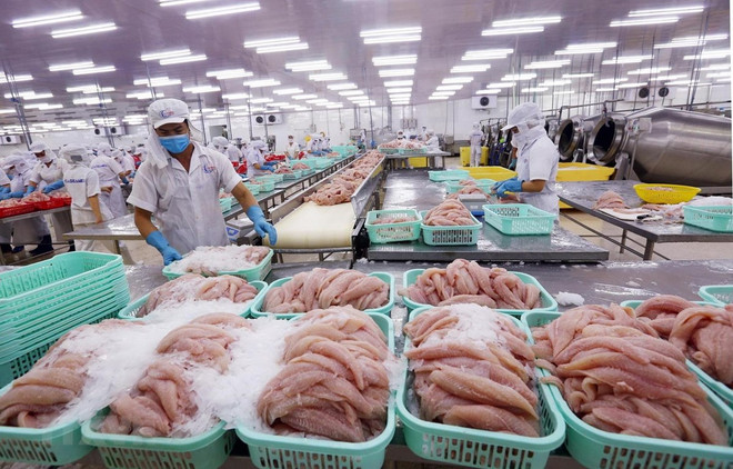 Empresas vietnamitas buscan aumentar volumen de exportación ảnh 1 Empresas vietnamitas buscan aumentar volumen de exportación ảnh 1