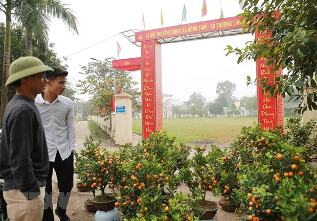 Pobladores de la comuna de Dong Tam se esfuerzan por un futuro más brillante ảnh 1 Pobladores de la comuna de Dong Tam se esfuerzan por un futuro más brillante ảnh 1