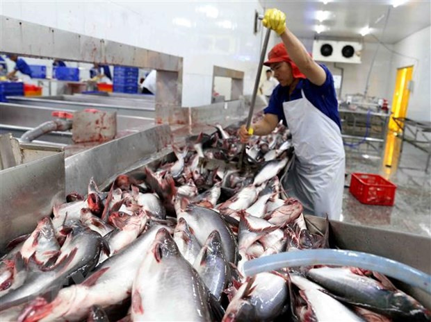 Doce empresas vietnamitas autorizadas a reexportar mariscos a Arabia Saudita ảnh 1 Doce empresas vietnamitas autorizadas a reexportar mariscos a Arabia Saudita ảnh 1