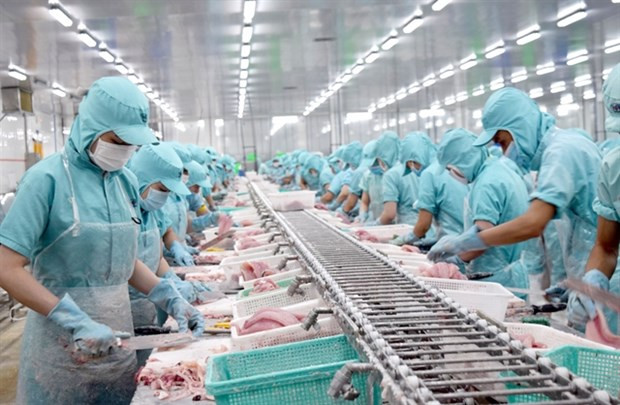 Producción y exportaciones vietnamitas de pescado Tra enfrentan desafíos ảnh 1 Producción y exportaciones vietnamitas de pescado Tra enfrentan desafíos ảnh 1
