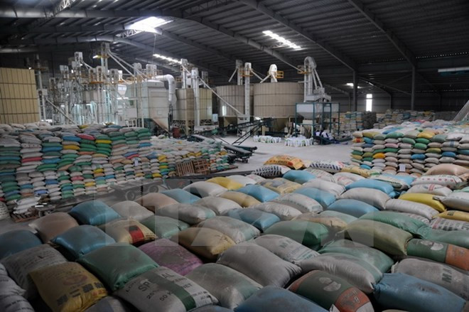 Exportación de arroz aumenta fuerte en febrero ảnh 1