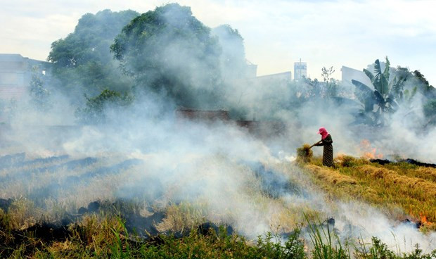 Vietnam reducirá nueve por ciento de emisiones de gases de efecto invernadero para 2030 ảnh 1 Vietnam reducirá nueve por ciento de emisiones de gases de efecto invernadero para 2030 ảnh 1
