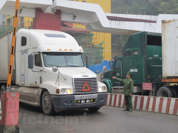 Agricultura de Vietnam hacia procesamiento profundo ảnh 2 Agricultura de Vietnam hacia procesamiento profundo ảnh 2