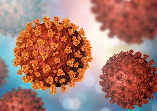 Diez eventos científicos y tecnológicos más relevantes en 2020 ảnh 3