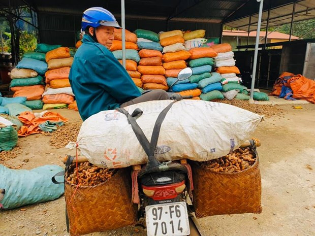 Empresarios vietnamitas suman esfuerzos para enfrentar al coronavirus ảnh 2 Empresarios vietnamitas suman esfuerzos para enfrentar al coronavirus ảnh 2