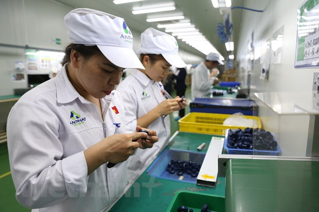 Acuerdo EVFTA abre oportunidades de inversión y reestructuración de cadena del valor global ảnh 1 Acuerdo EVFTA abre oportunidades de inversión y reestructuración de cadena del valor global ảnh 1