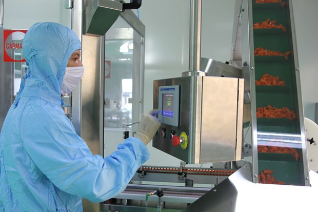Mercado farmacéutico de Vietnam apunta a crecer 10 por ciento en 2020 ảnh 1