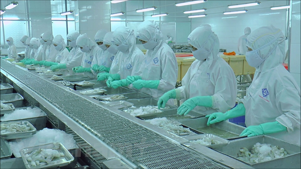 PYMES vietnamitas enfrentan problemas de flujo de caja ảnh 2