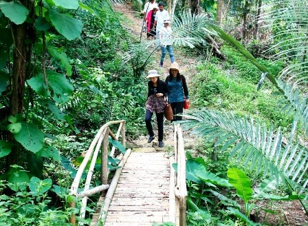 Provincia vietnamita impulsa ecoturismo junto con el desarrollo sostenible ảnh 1 Provincia vietnamita impulsa ecoturismo junto con el desarrollo sostenible ảnh 1