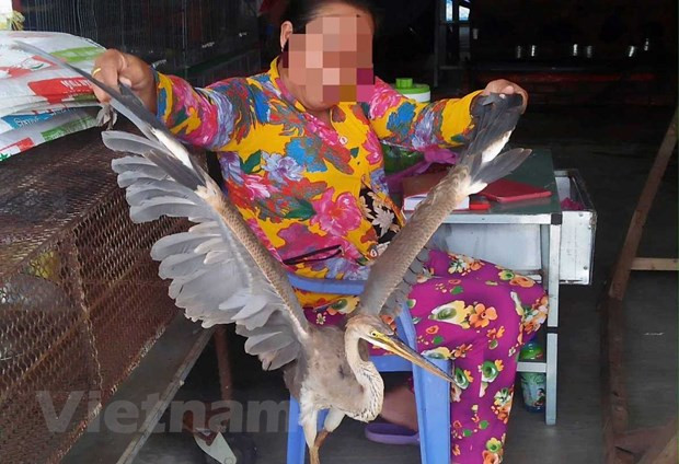 Comercio ilegal de animales salvajes en Vietnam ảnh 1 Comercio ilegal de animales salvajes en Vietnam ảnh 1