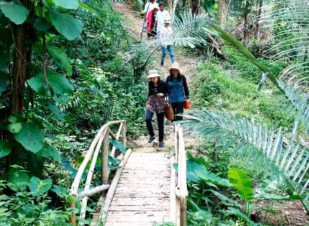 Binh Thuan desarrolla productos turísticos asociados a la agricultura sostenible ảnh 1