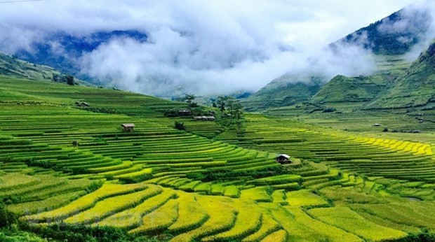 Hermosos lugares por descubrir en Mu Cang Chai de Vietnam ảnh 1 Hermosos lugares por descubrir en Mu Cang Chai de Vietnam ảnh 1