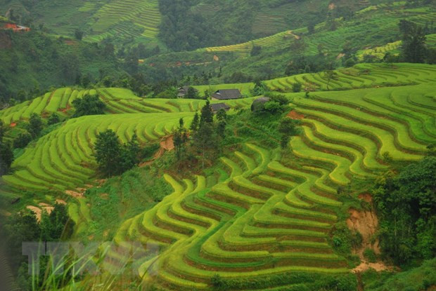 Destinos imperdibles al visitar provincia vietnamita de Ha Giang ảnh 2 Destinos imperdibles al visitar provincia vietnamita de Ha Giang ảnh 2